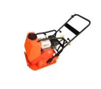 Прямоходные